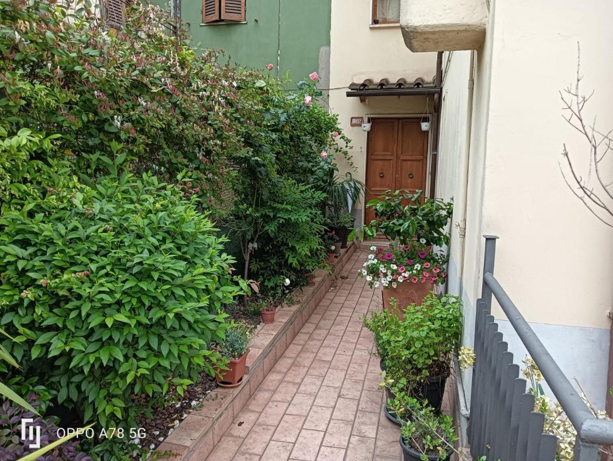 Gelsomino Bianco Apartment Терни Екстериор снимка